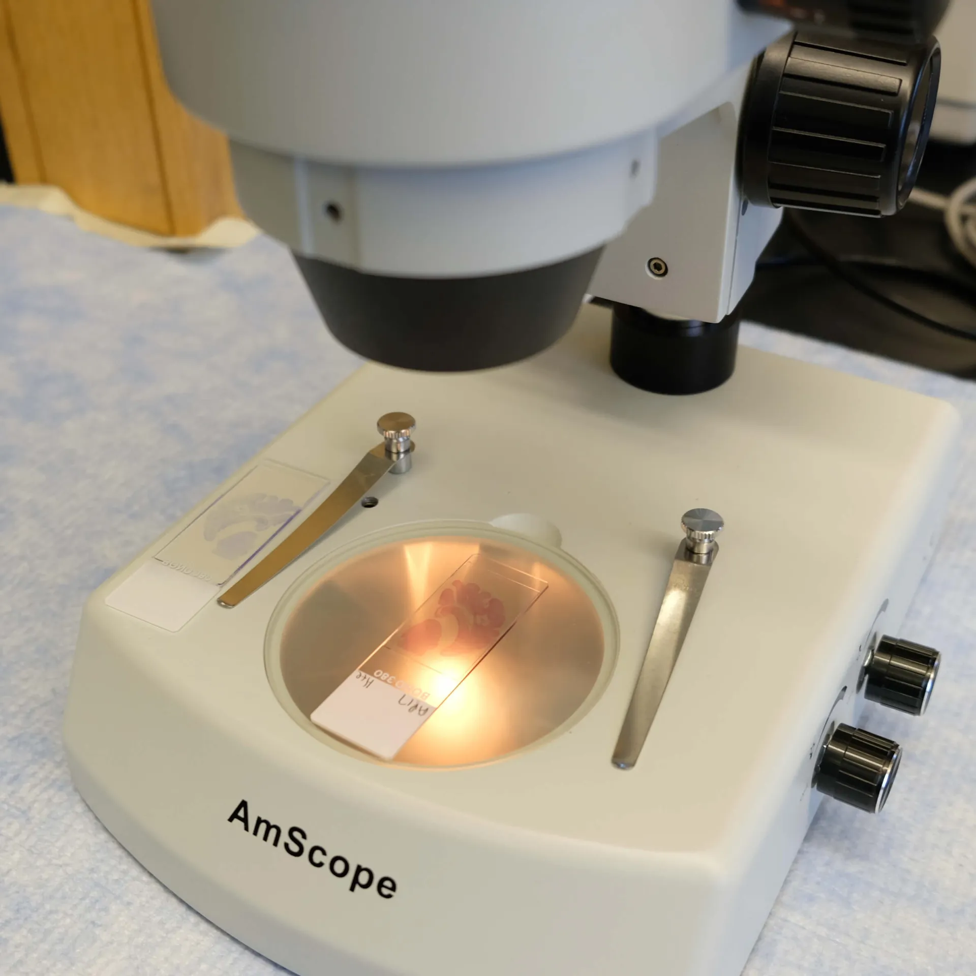 closeup of microscope