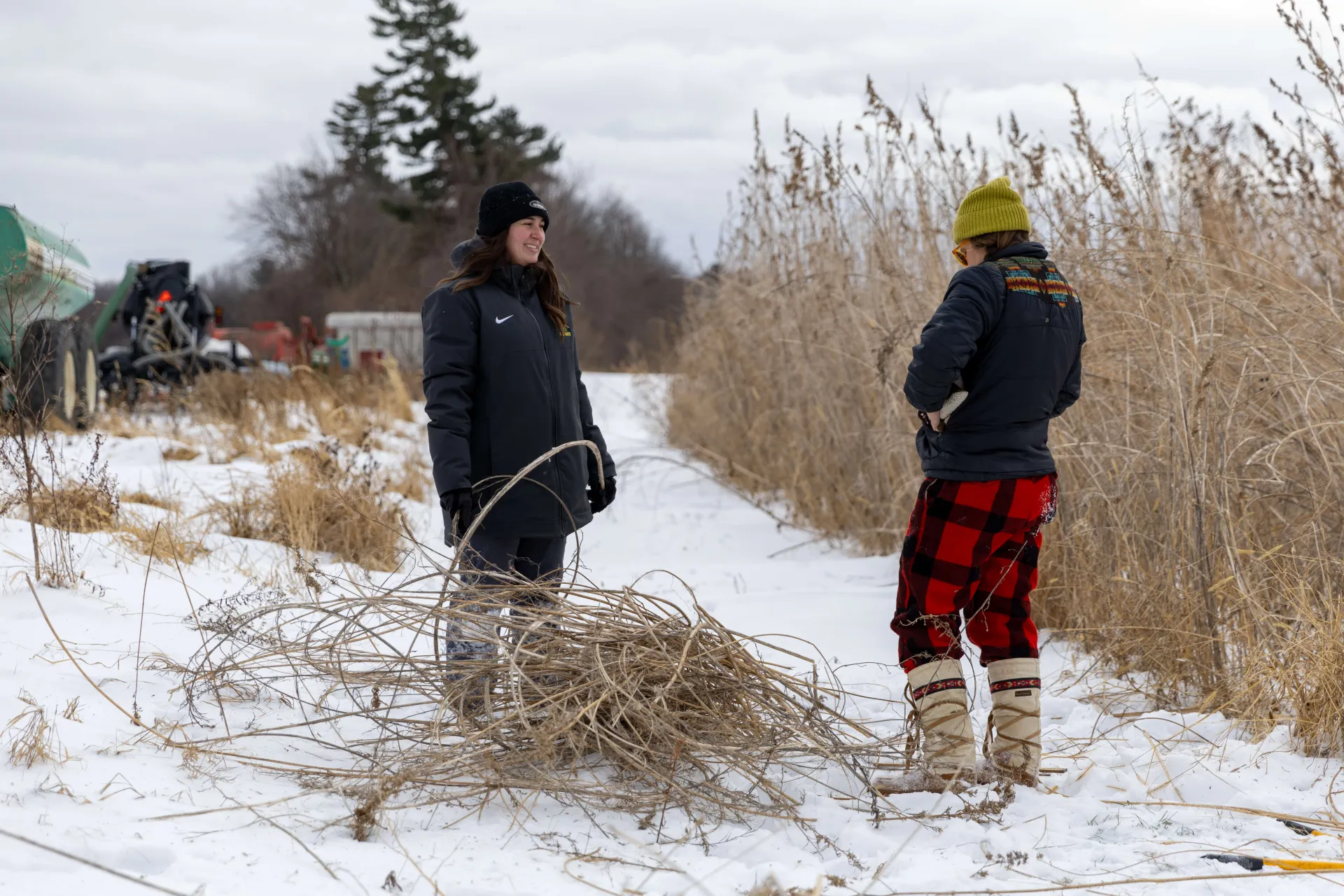 Two women standing in a winter hemp field
