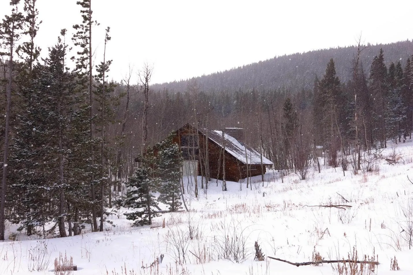 Snow falls on a cabin in the woods