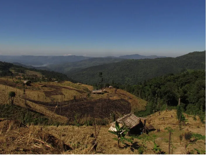 Figure 3 Slash and Burn Agriculture in the Northeast of India (PC: Pragyan Sharma, Conservation Initiatives)
