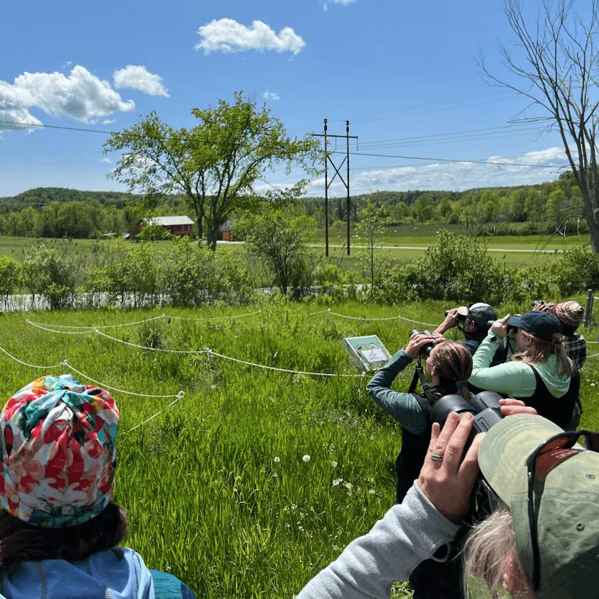 Group of people bird watching