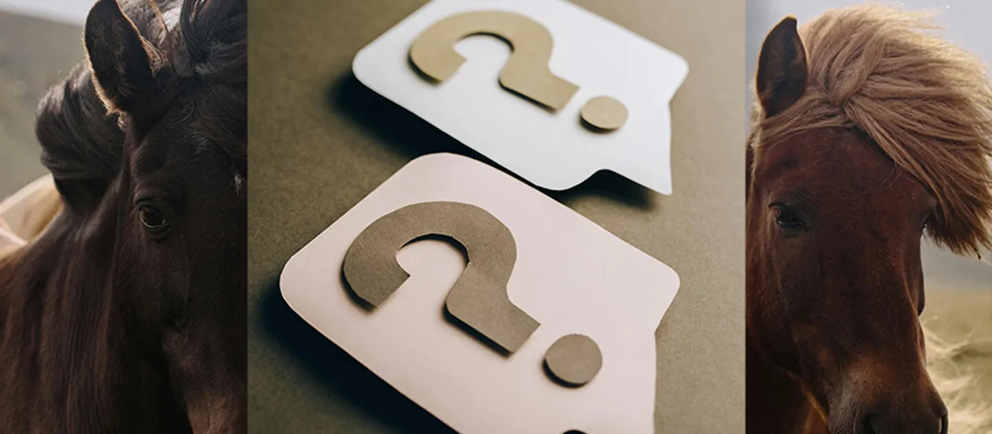 paper cutout question marks overlaid on a picture of horses
