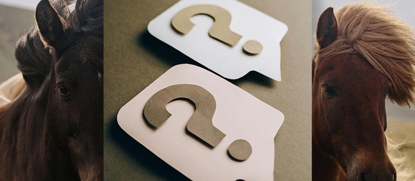 paper cutout question marks overlaid on a picture of horses