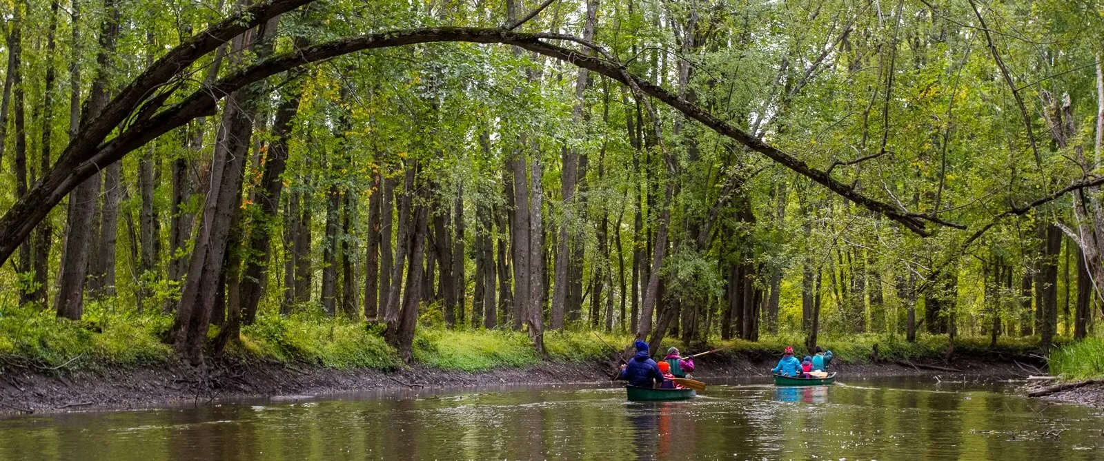 kayakers in colorful jackets paddle under a branch arching over a river surrounded by spring green trees
