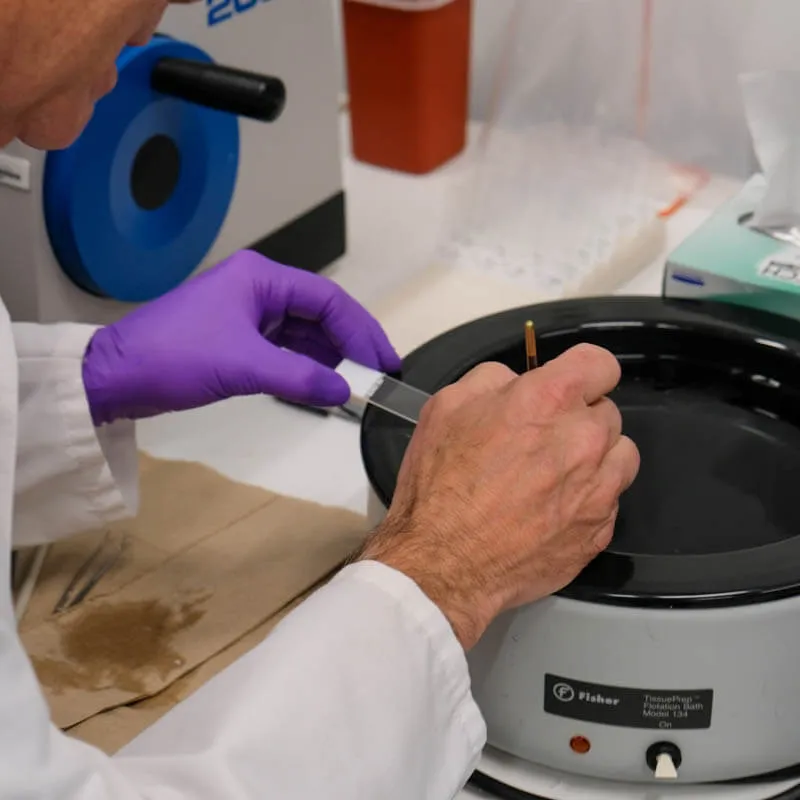 researcher working with a slide in the lab
