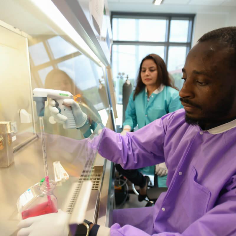 person working under a hood in a lab