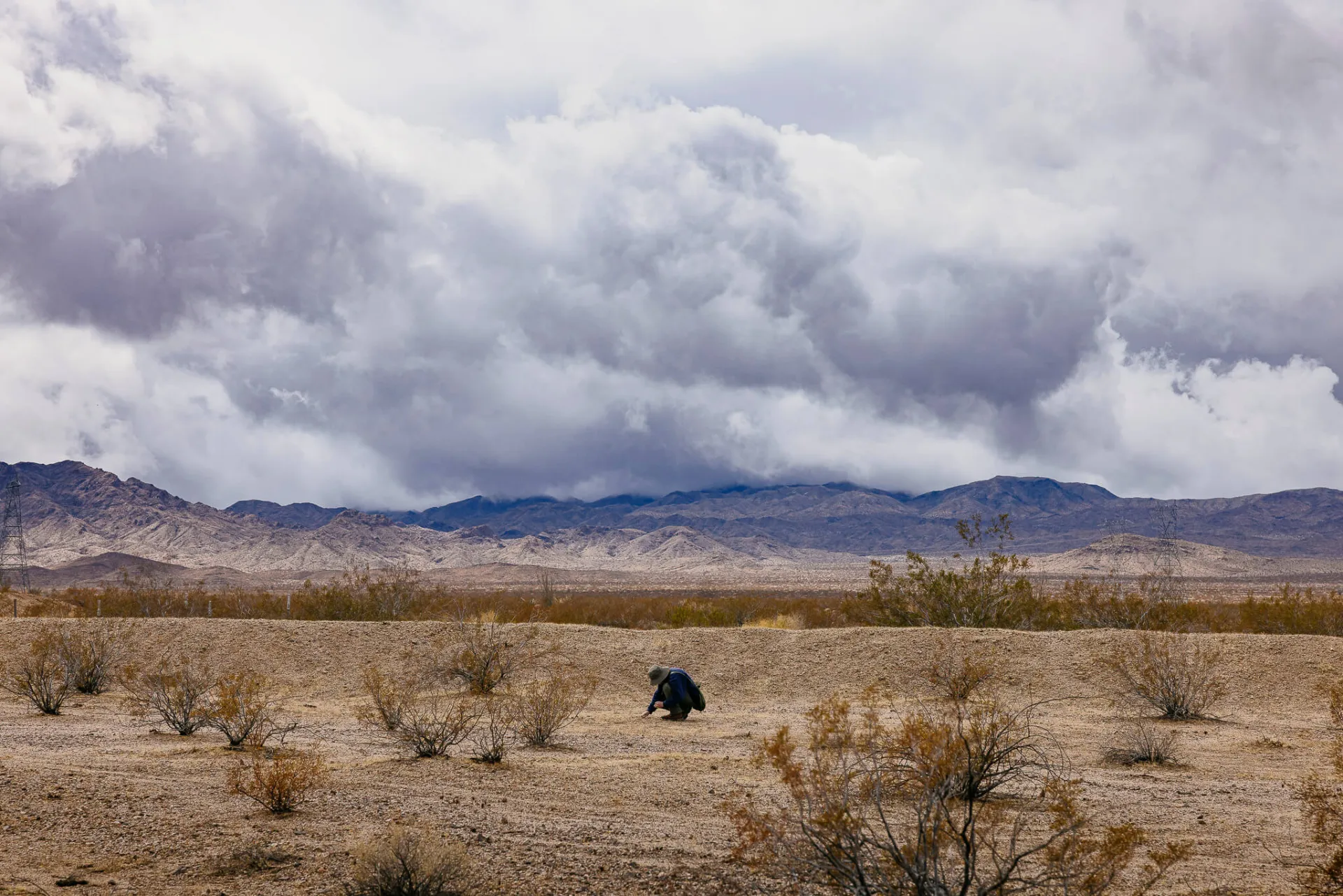 Sara Helms Cahan kneels in the California desert against a backdrop of mountain ranges and dramatic clouds overhead