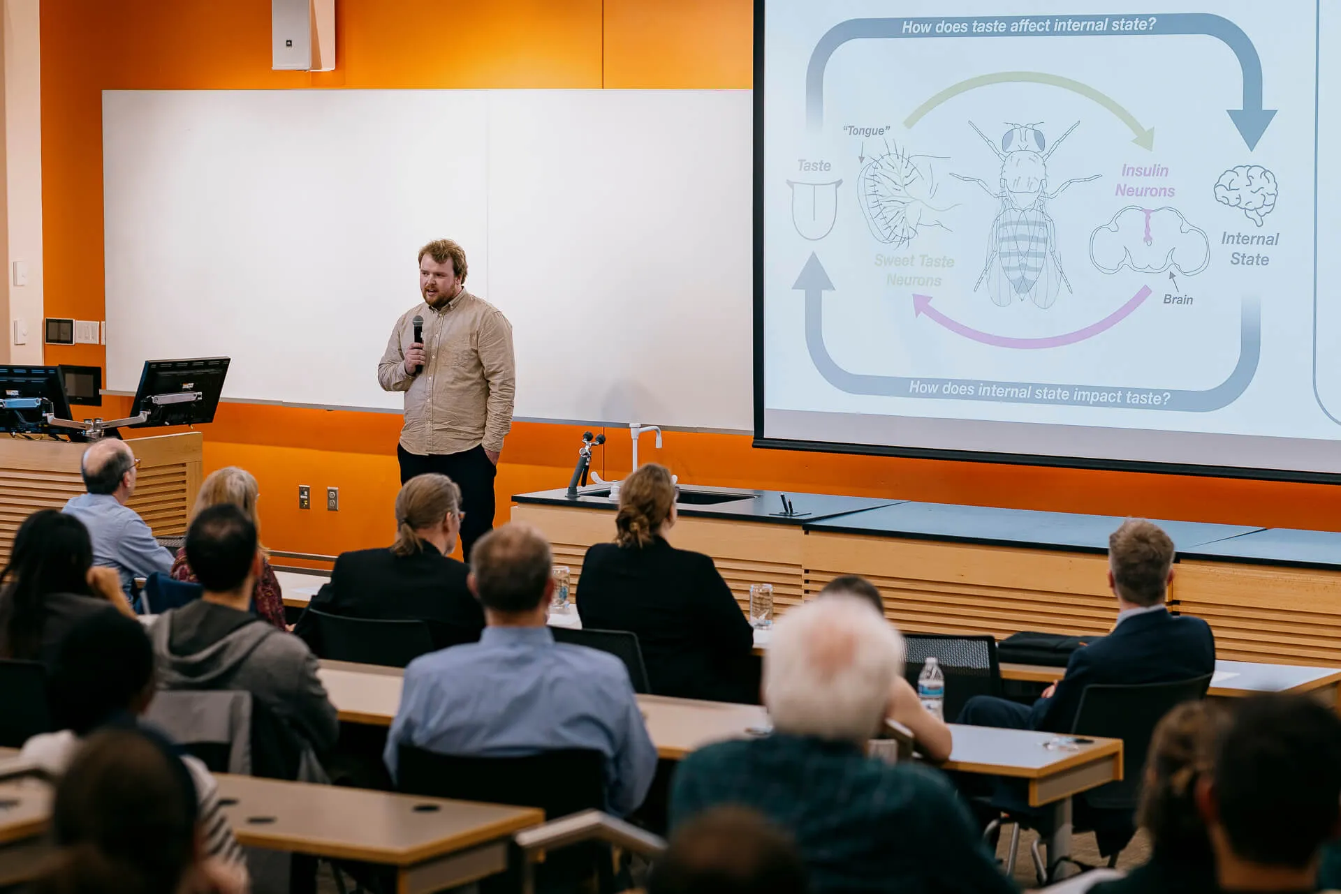A PhD student delivers their 3 Minute Thesis