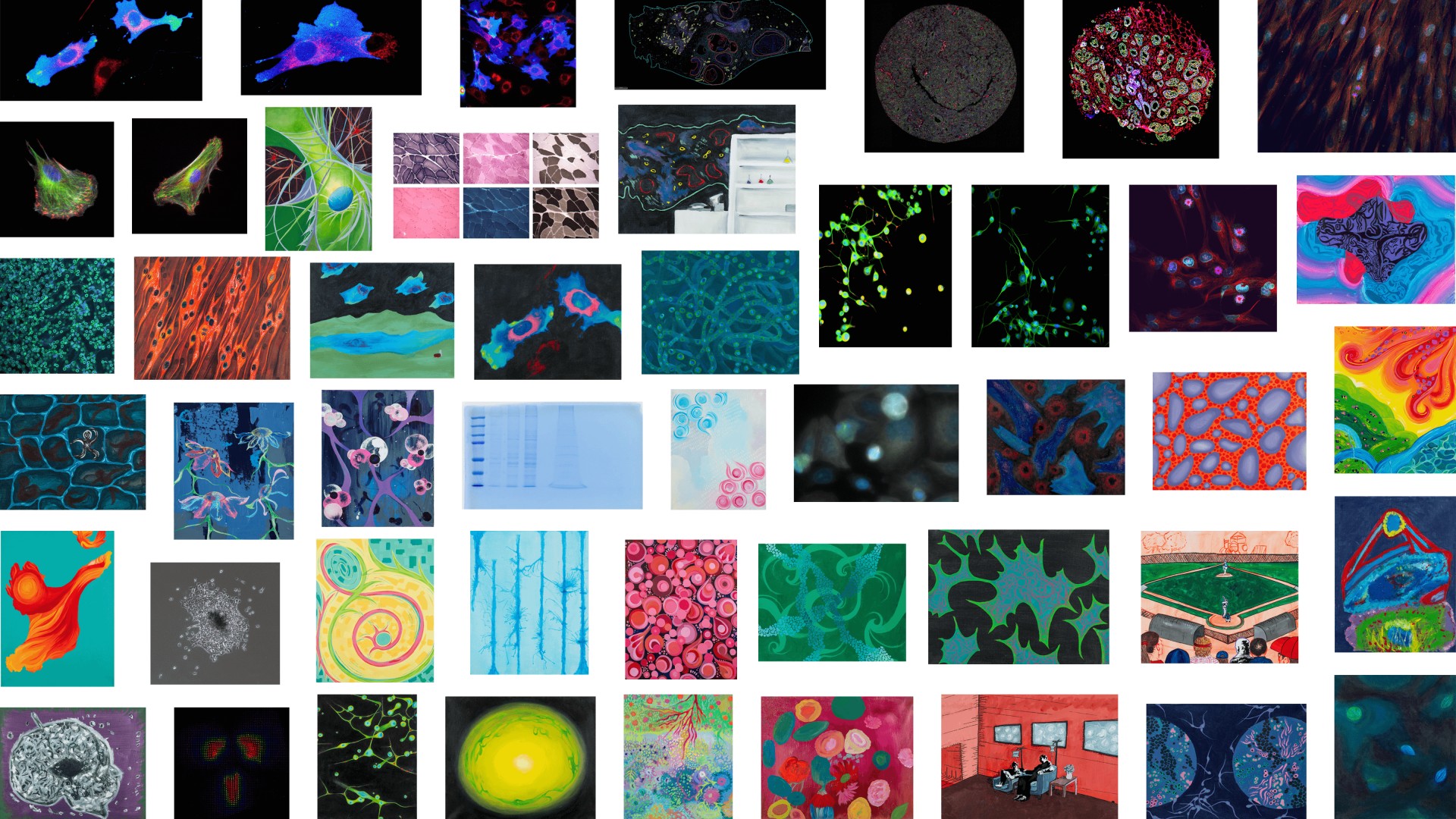 SciArt banner 