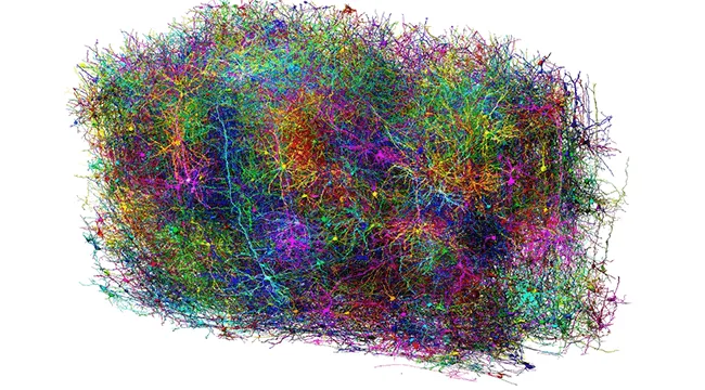 image of a subset of more than 1,000 neurons, representing just a snapshot of the complexity mapped within a cubic millimeter of mouse brain tissue