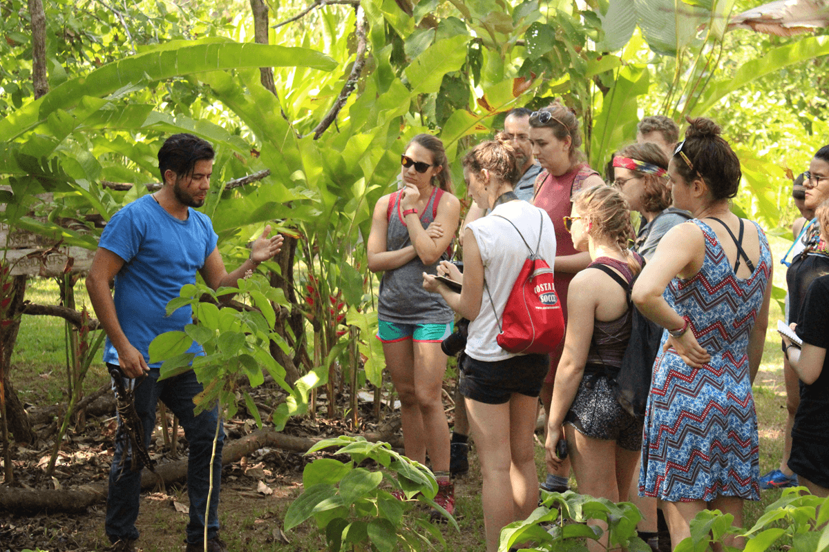Students in the field in Costa Rica