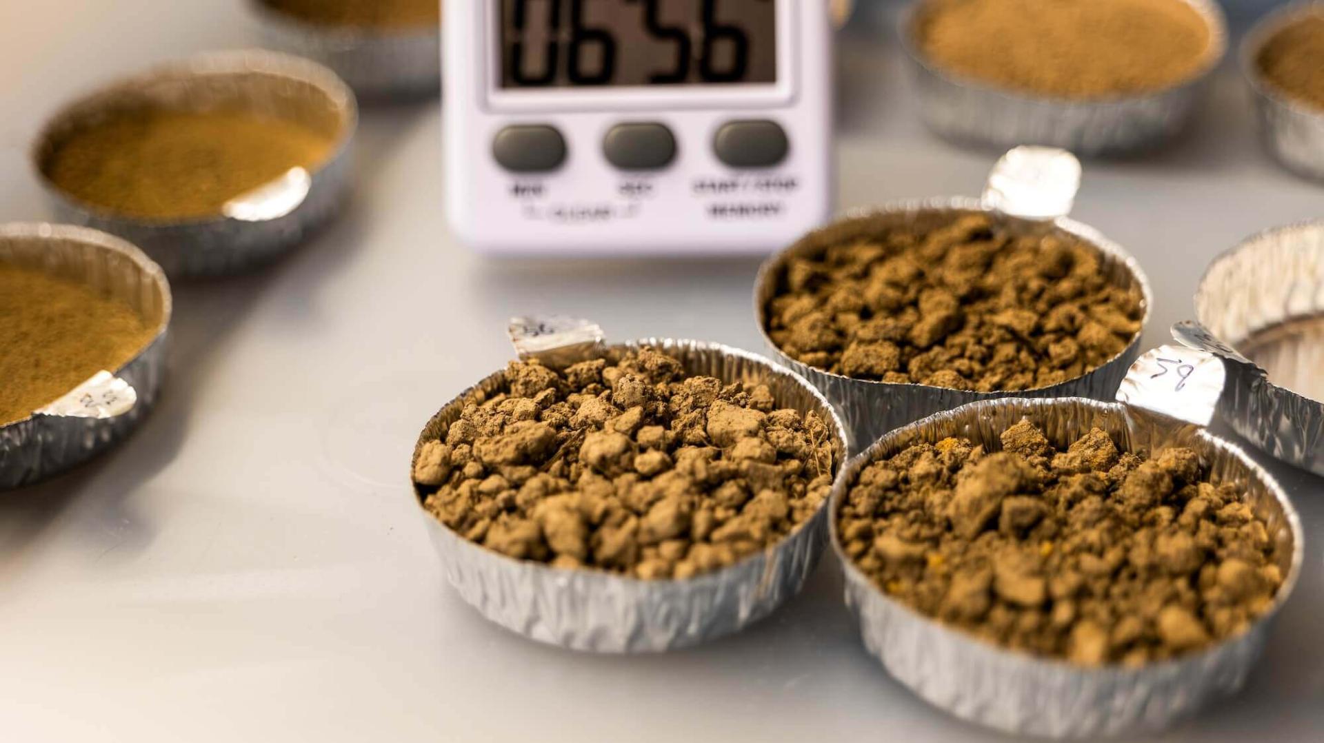 smal tins of soil smaples on a lab bench