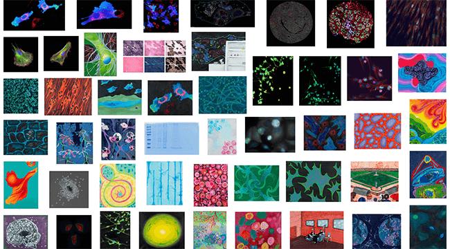 a collage of many colorful artworks