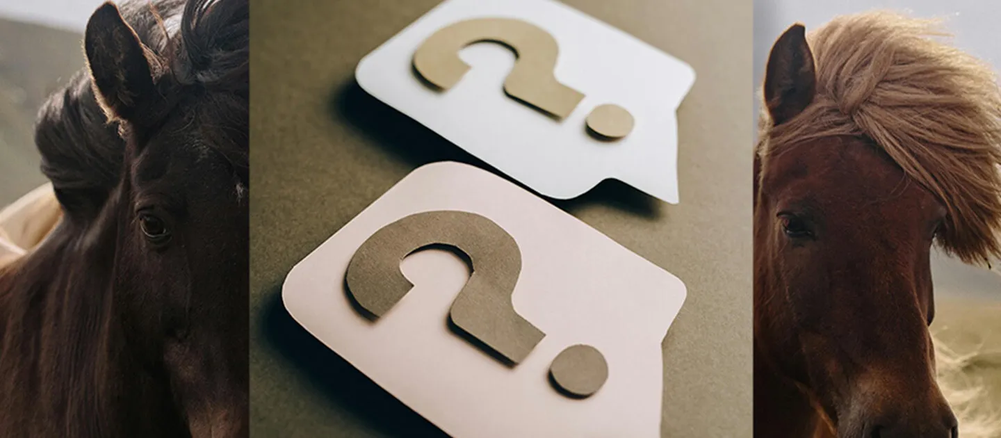 2 paper cutout question marks on top of a photo of horses