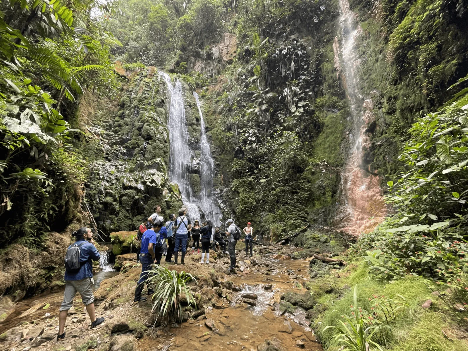 Group of students at a waterfall in the Cloud Forest
