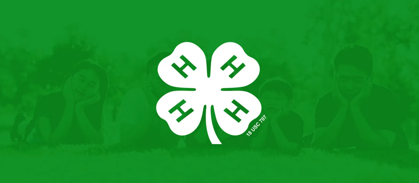 4-h logo