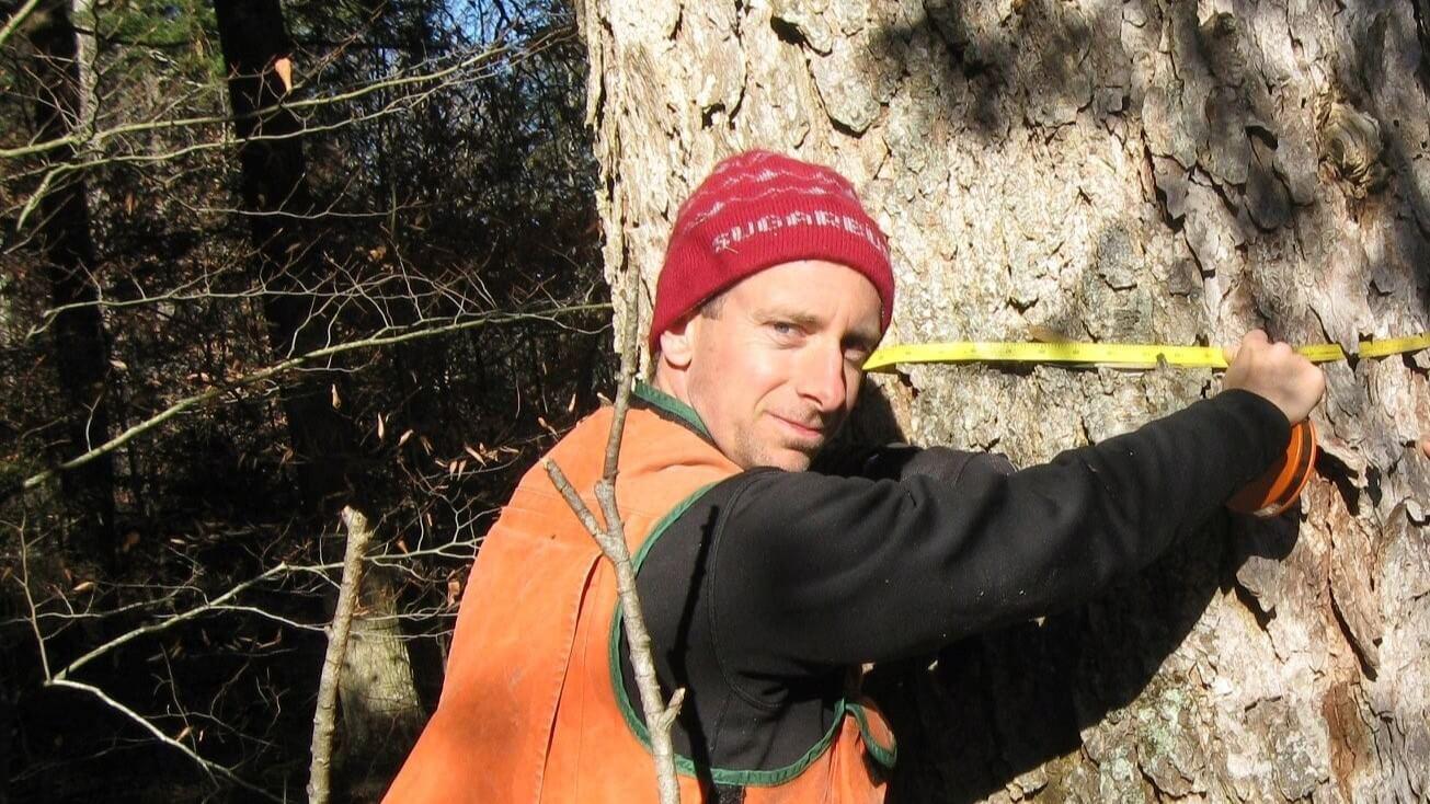 William Keeton holds a tape measure against a large tree. 