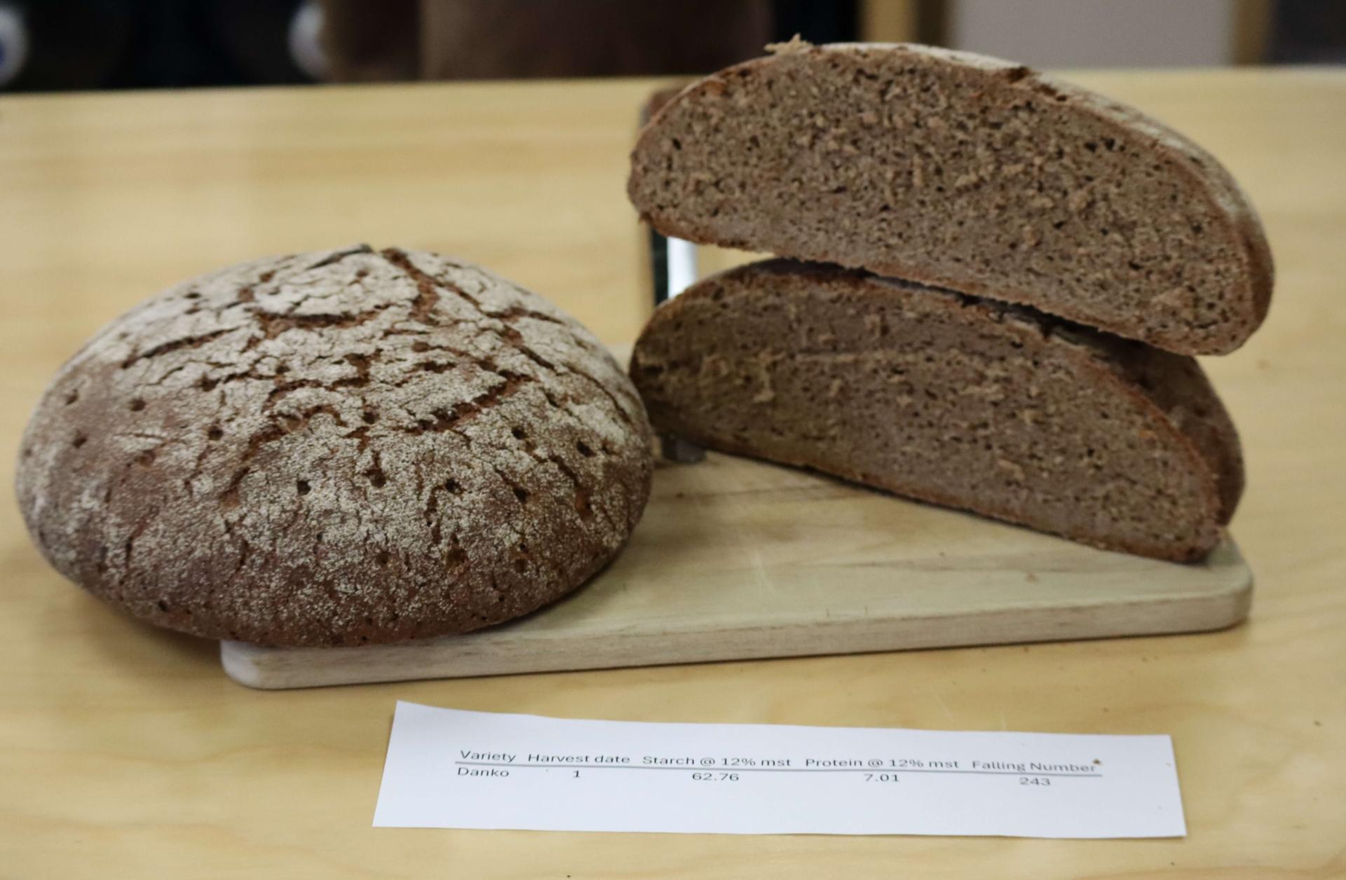 Rye Bread