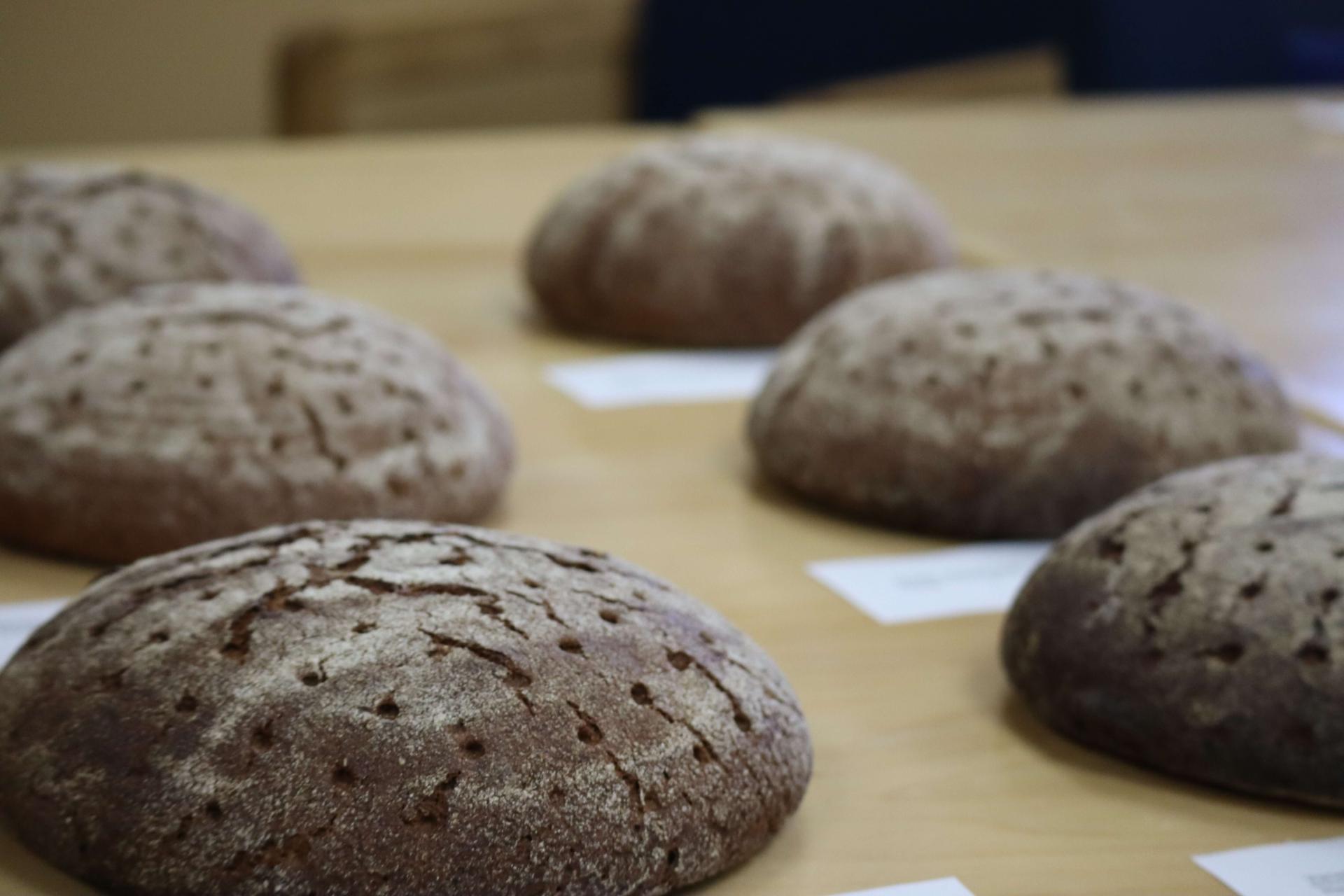Rye Bread Loaves