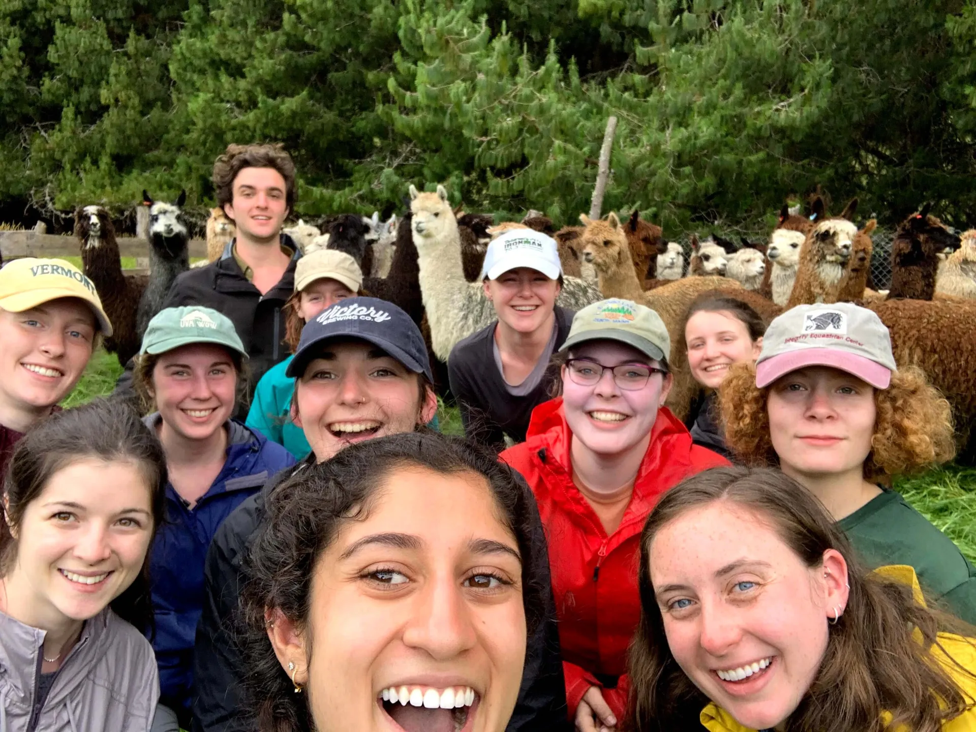 Student group on an alpaca farm