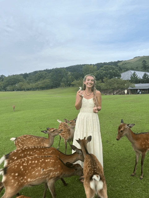Woman surrounded by deer