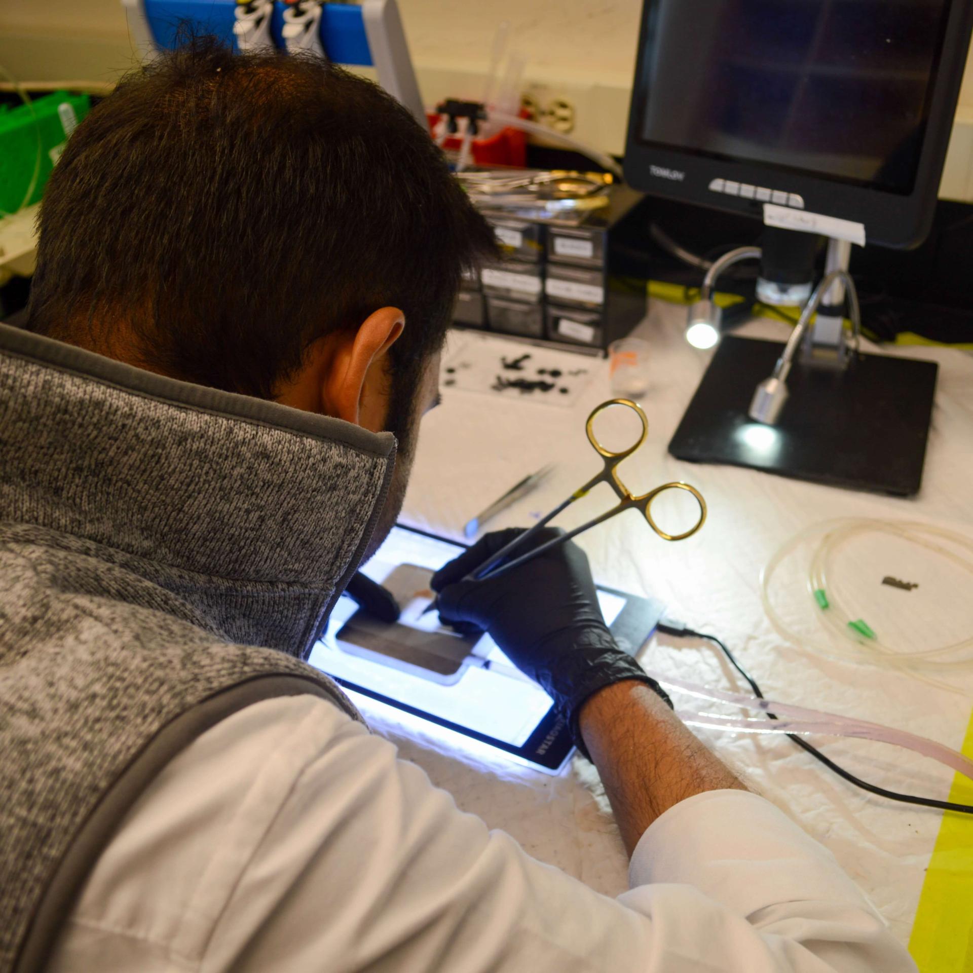 Person over lab table doing experiment