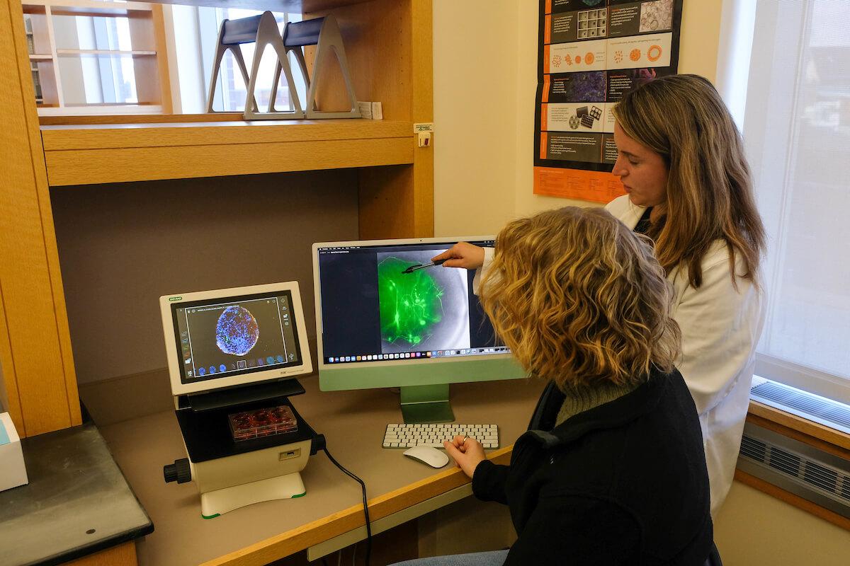 Two people looking at images on computer screens 