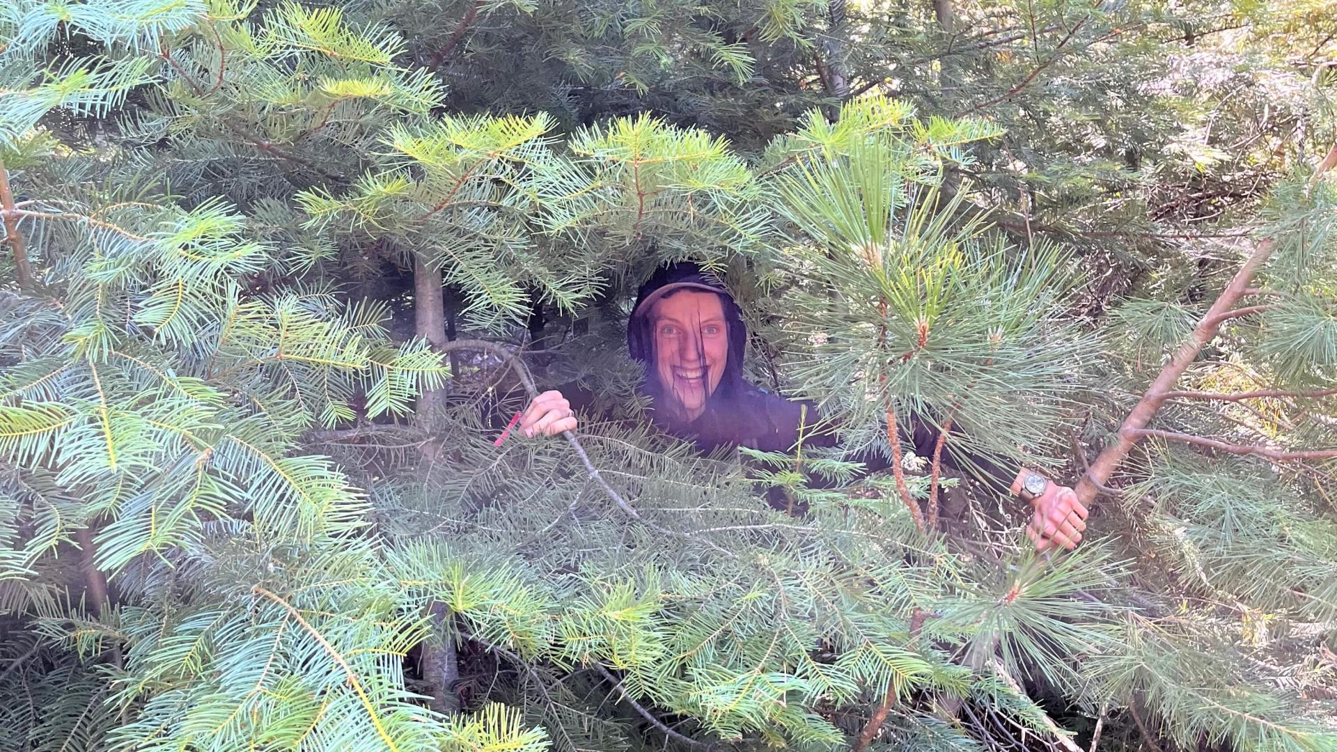 Spencer poking his head out of the trees.