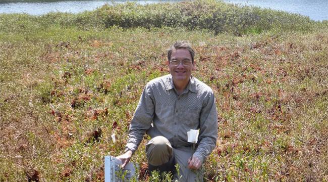 Prof. Gotelli crouches in a bog. He holds a bundle of white colored survey flags in one hand and a clipboard filled with notes in the other.