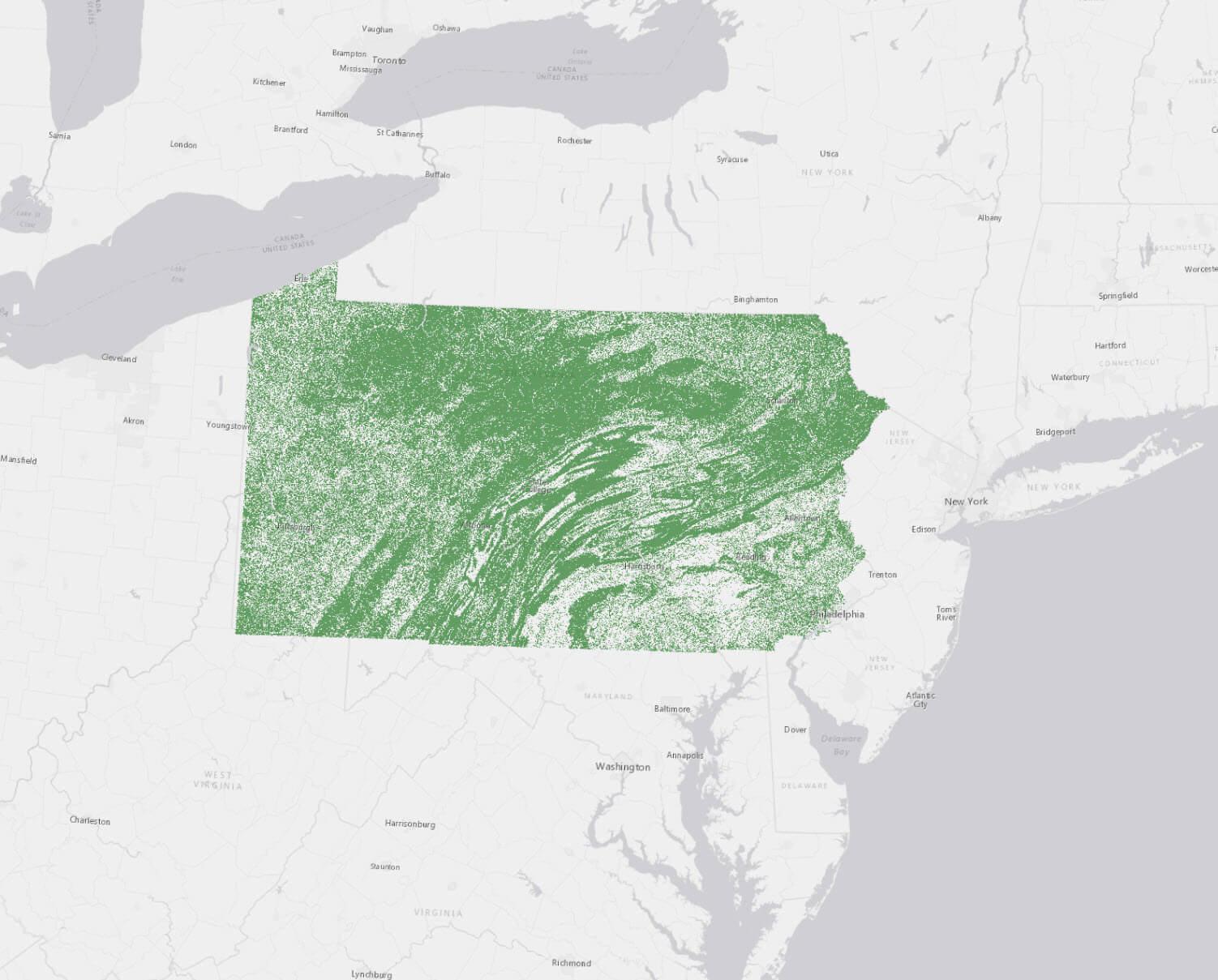 A map of Pennsylvania's tree canopy, created by the Spatial Analysis Lab