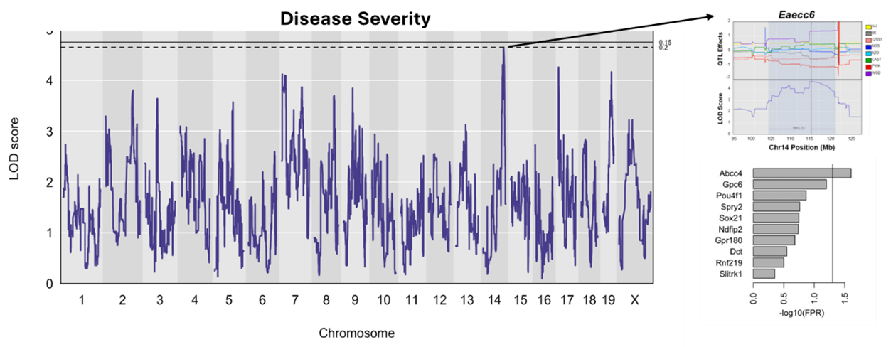 A graph of MS disease severity 