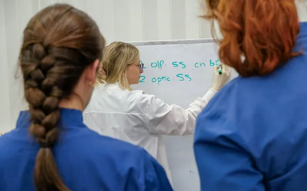 Student teaching