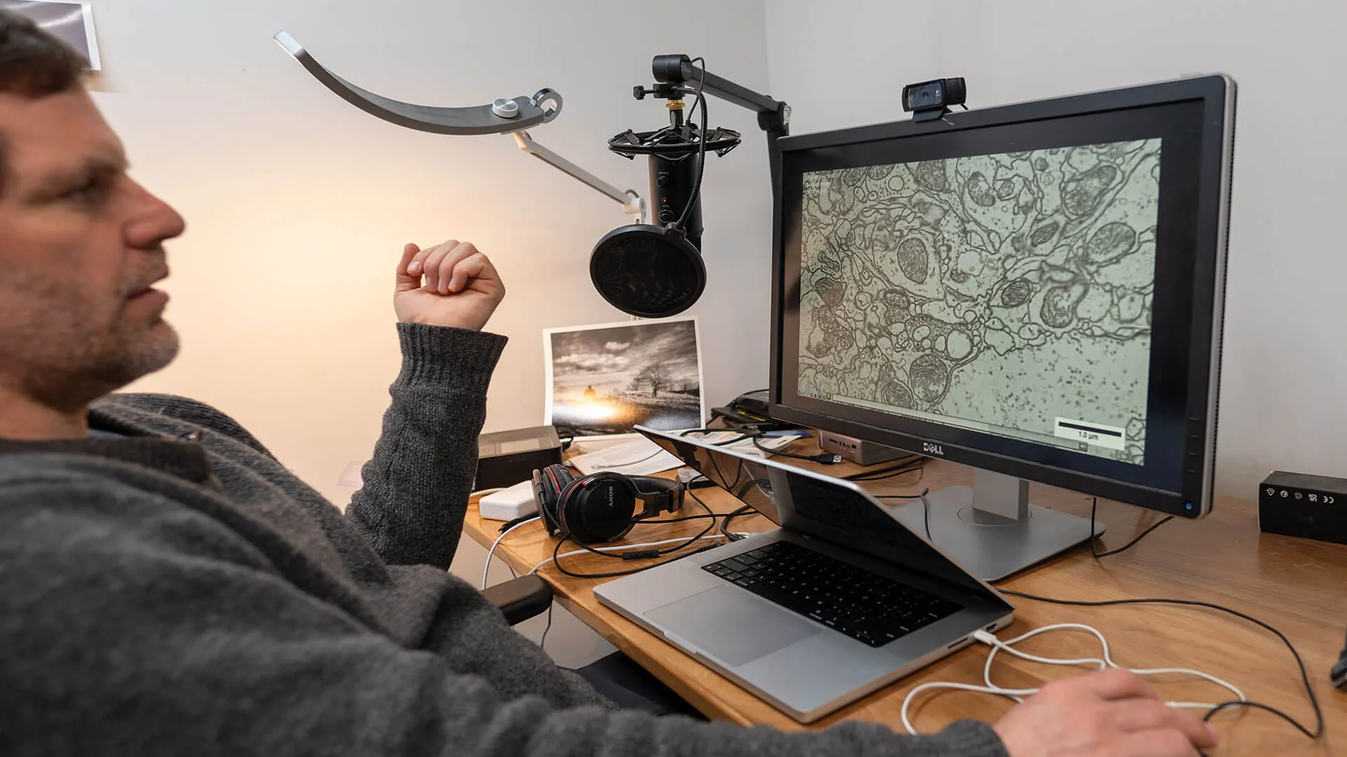a person sits at a desk looking at cells on a computer