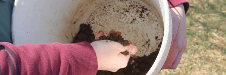 Soil Sampling