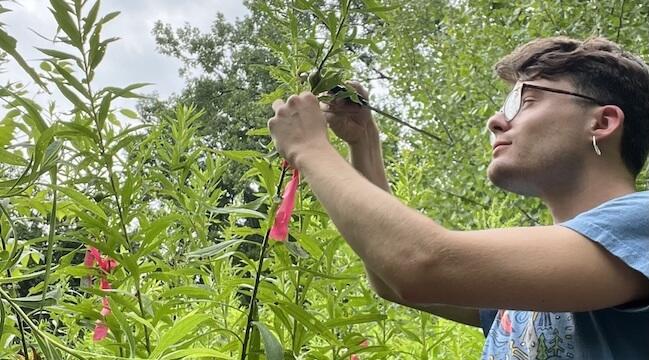 young man cutting a bush branch