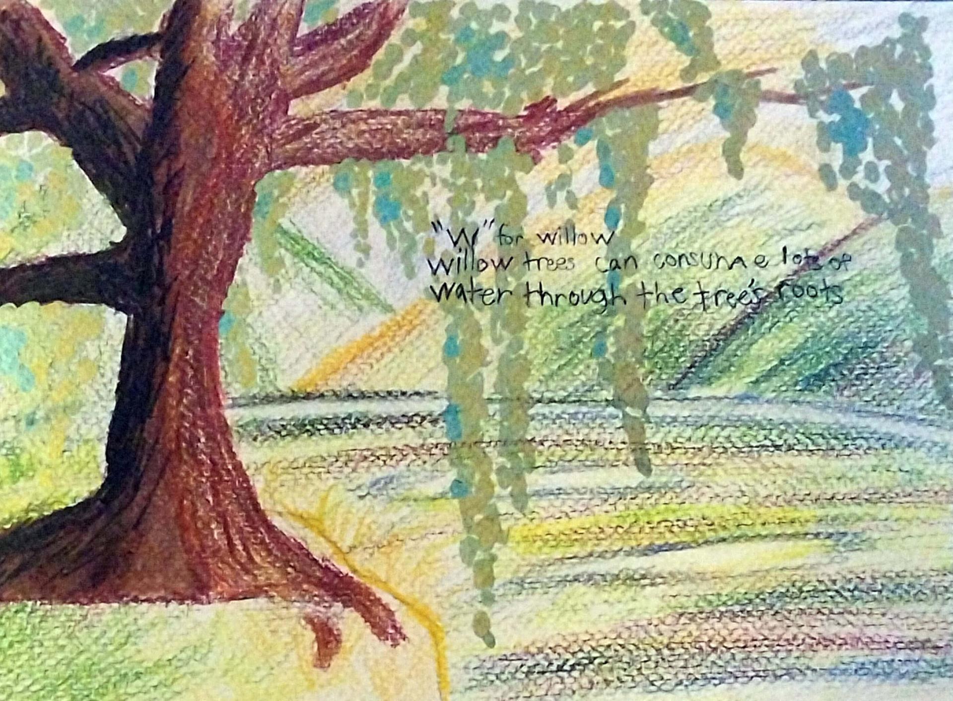 a drawing of a tree
