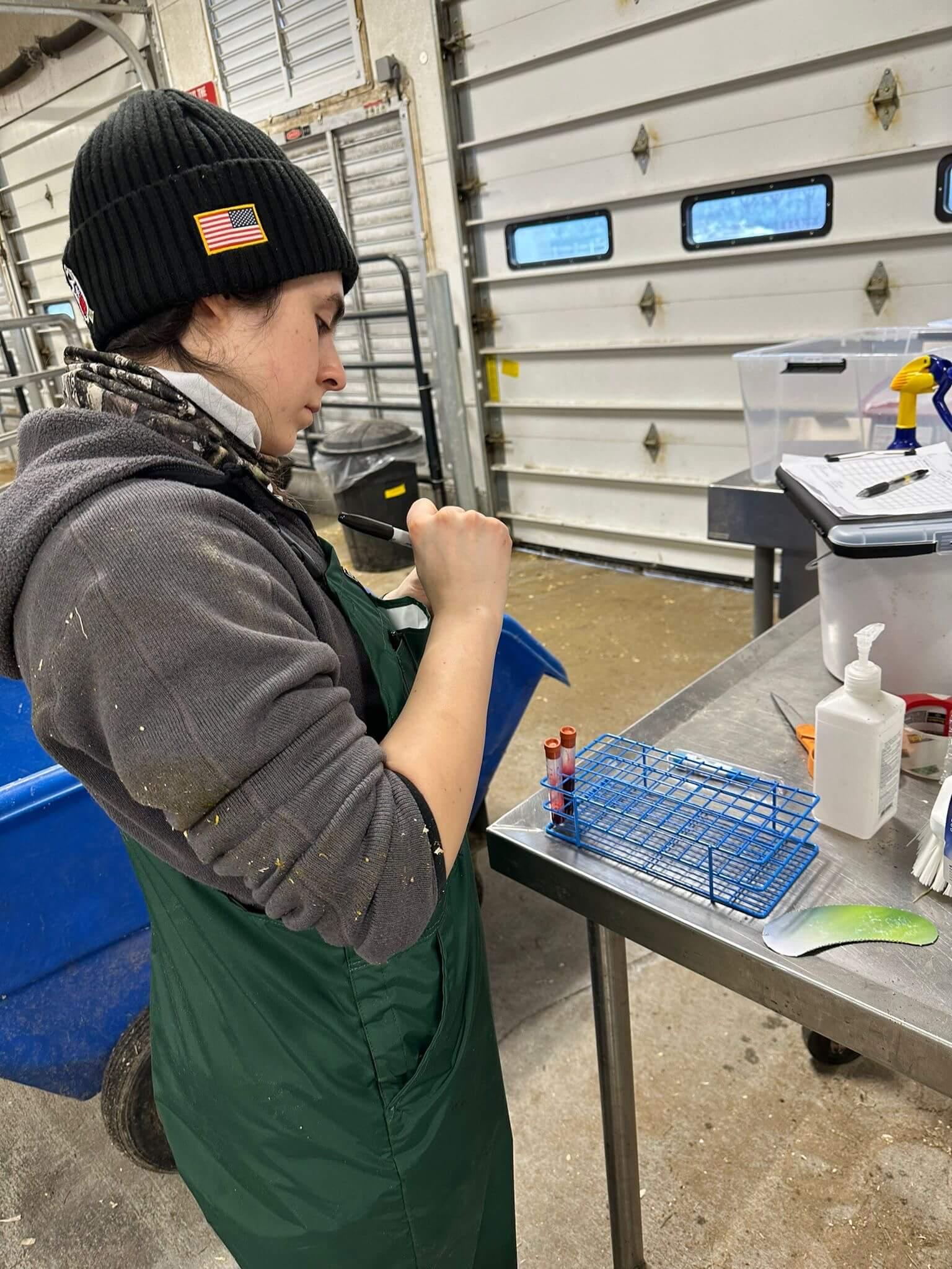 Graduate Student doing tests on milk in the barn