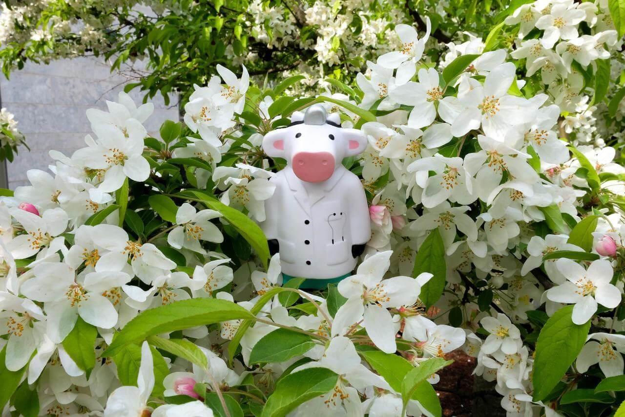 cow figure in flowers