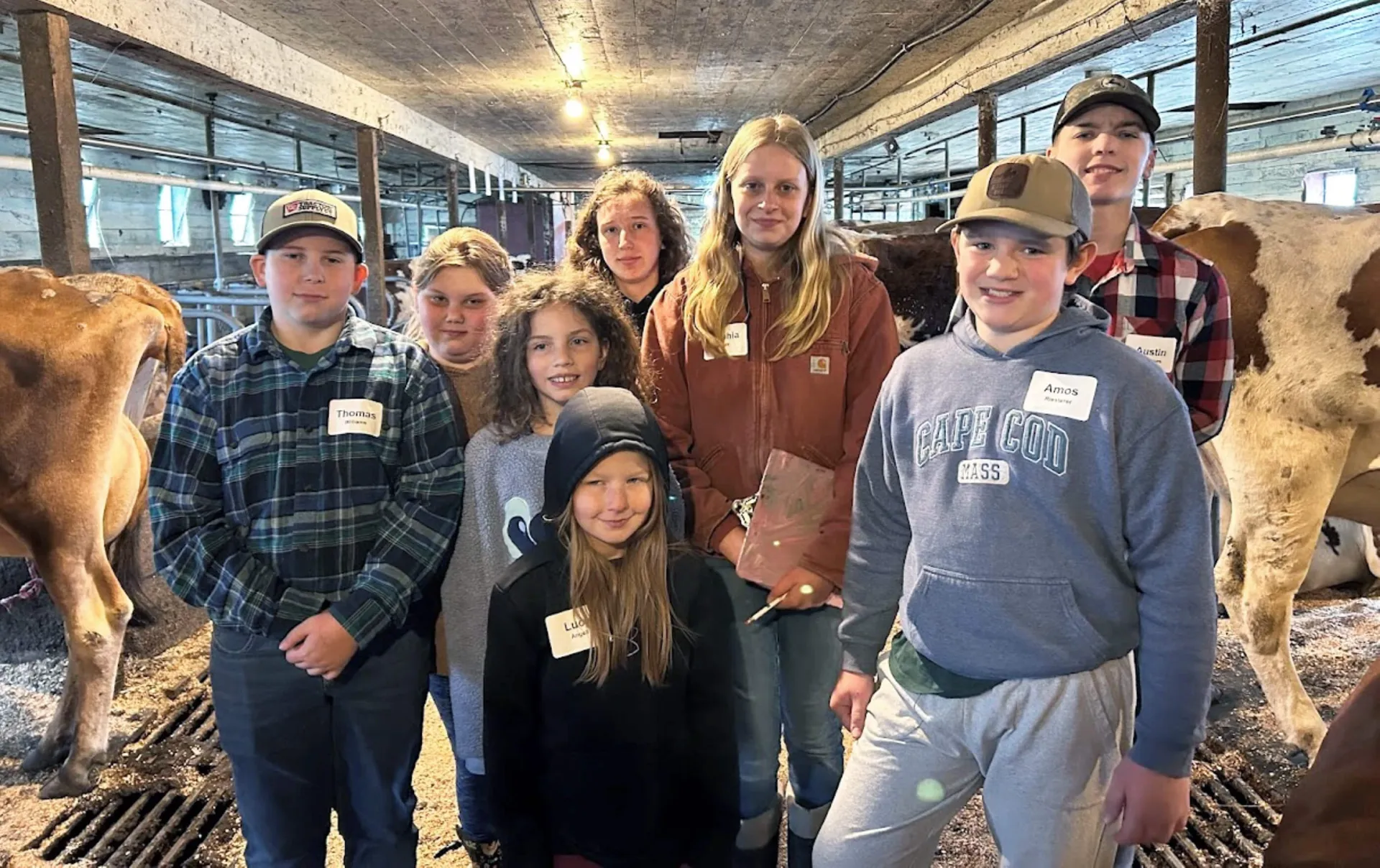 a group of 4-h'ers in a barn with cows