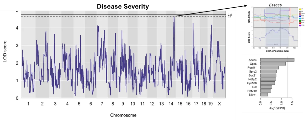 Graph of disease severity