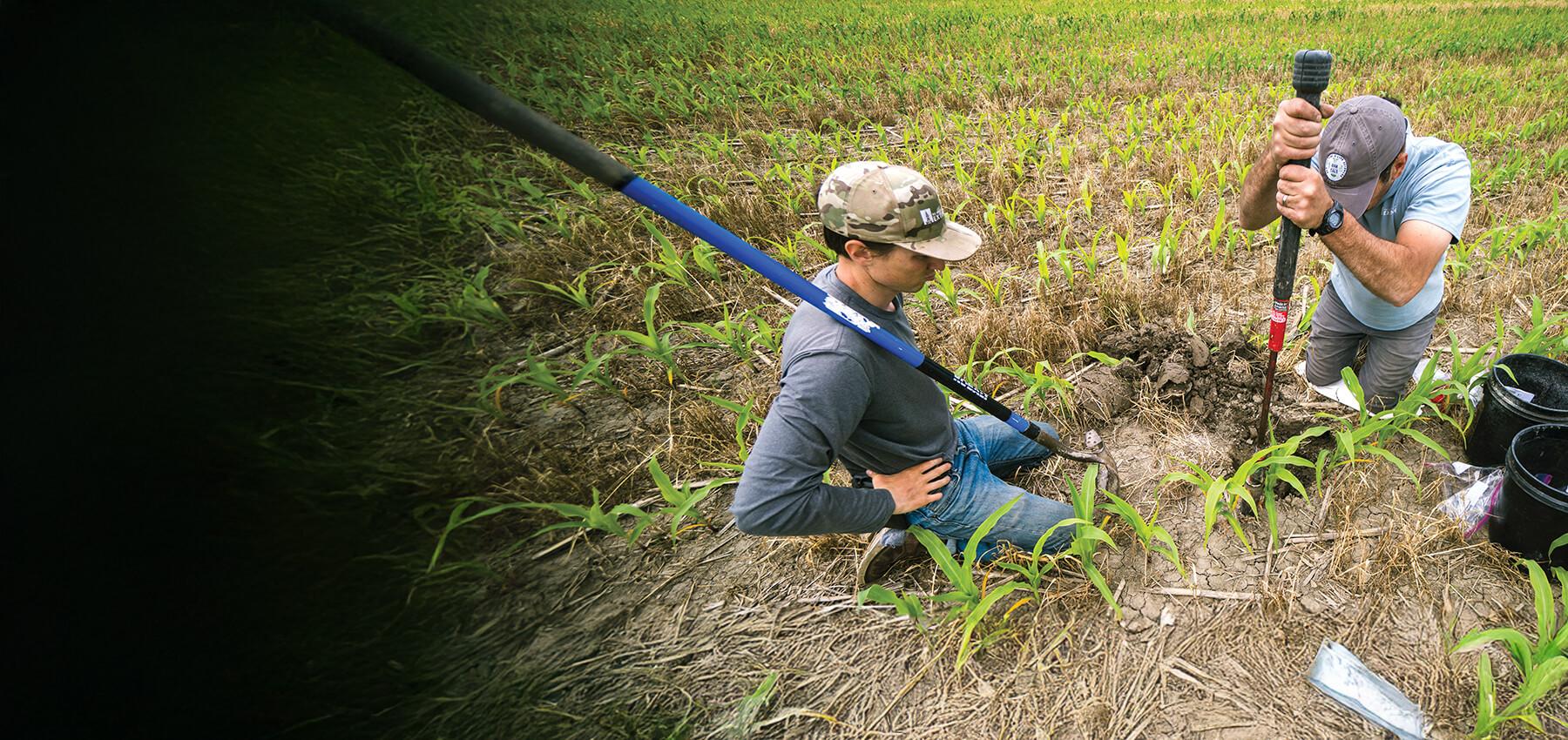 two people with shovels in a field digging into the soil