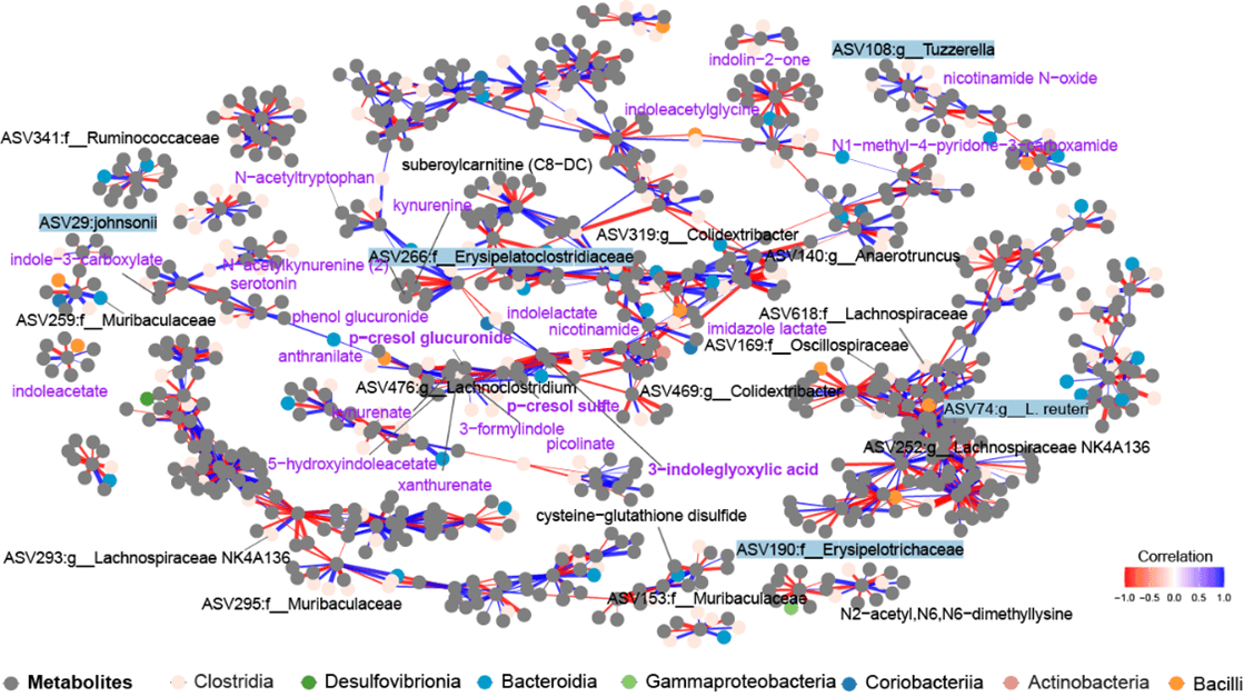 Depiction of gut microbiome