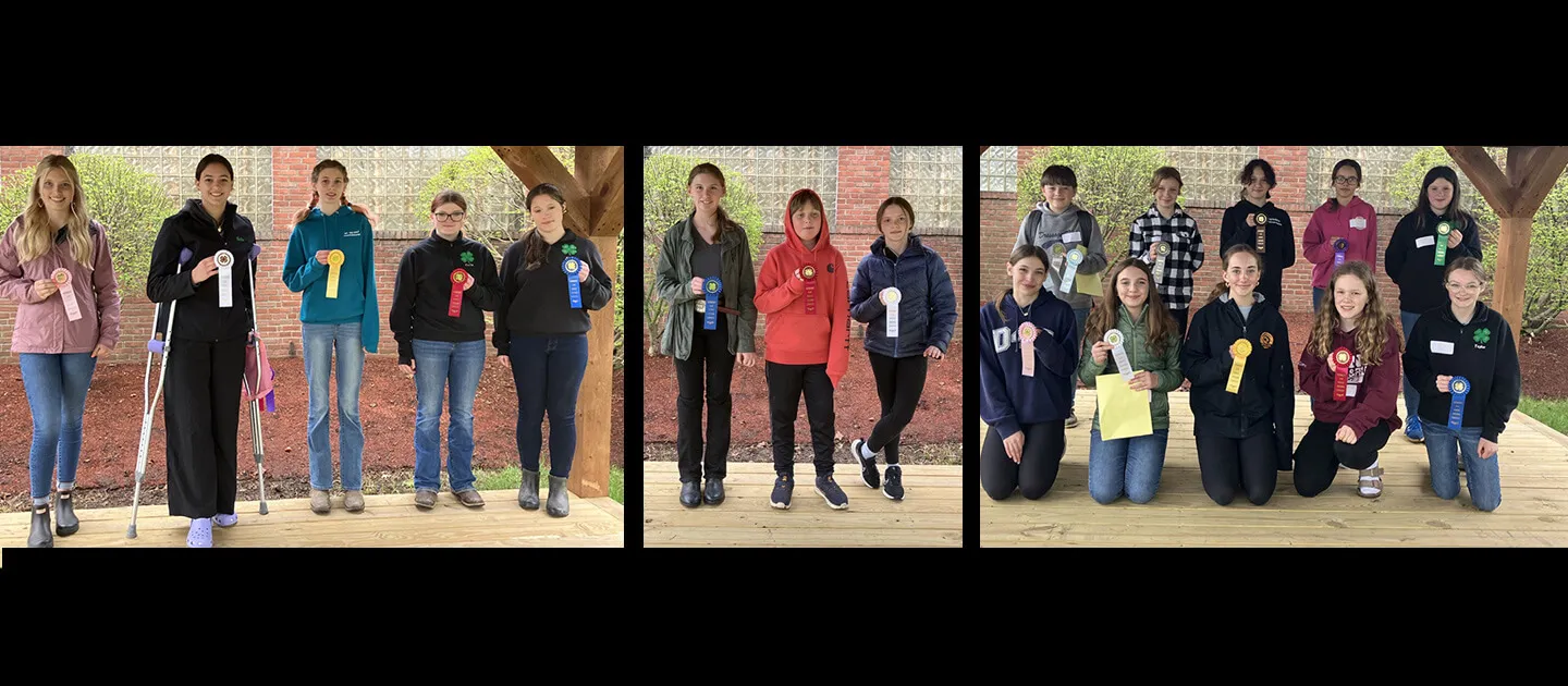 a bunch of 4-H'ers all in a row