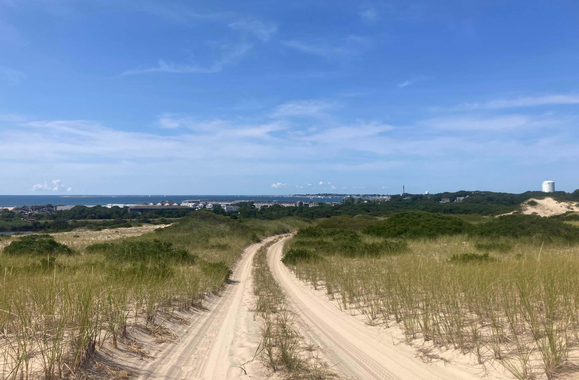 a sandy path by the ocean with development around
