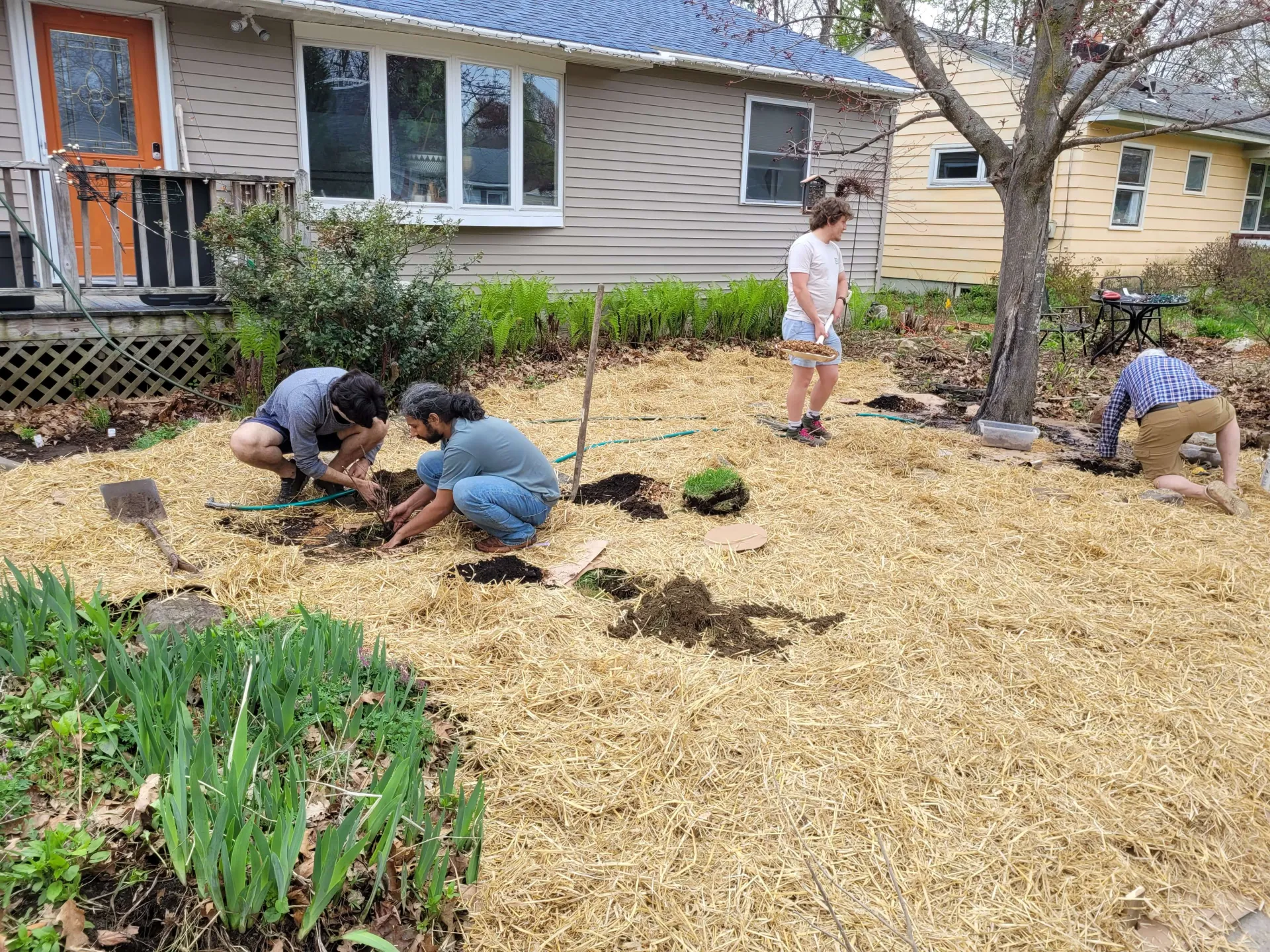 Students and faculty preparing a lawn conversion in Burlington