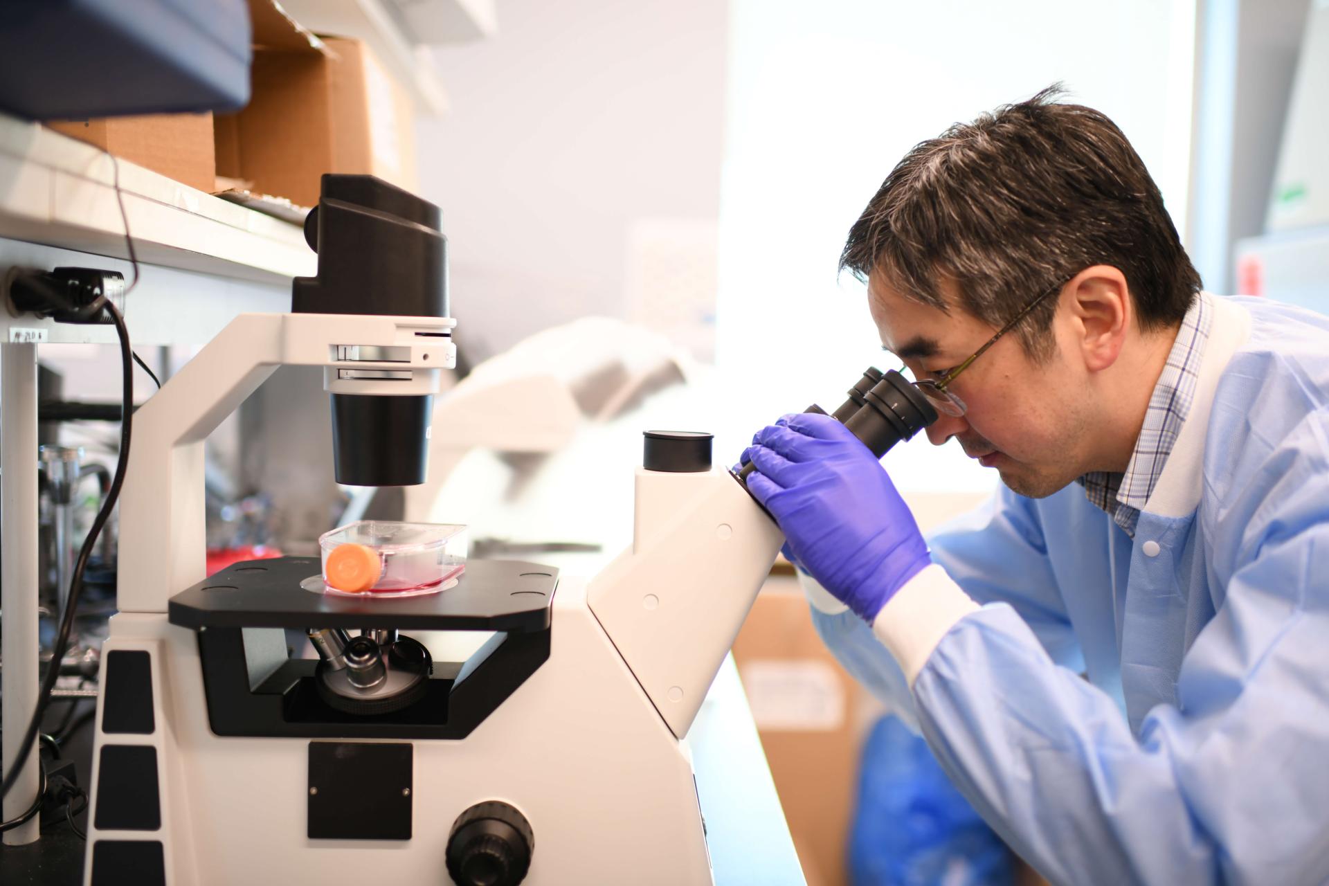 Ben Lee looking through microscope