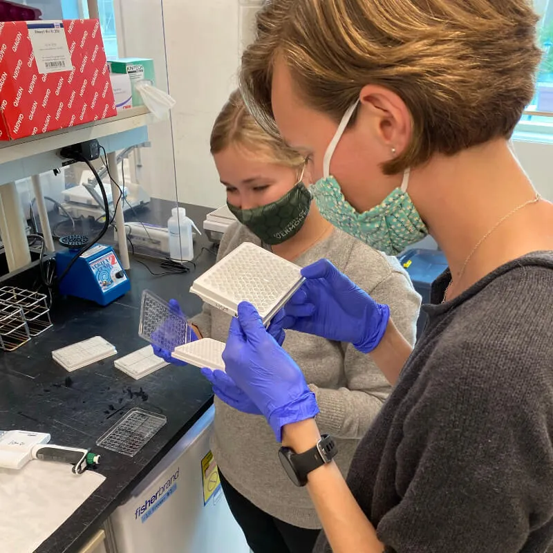 two research students look at samples in a lab
