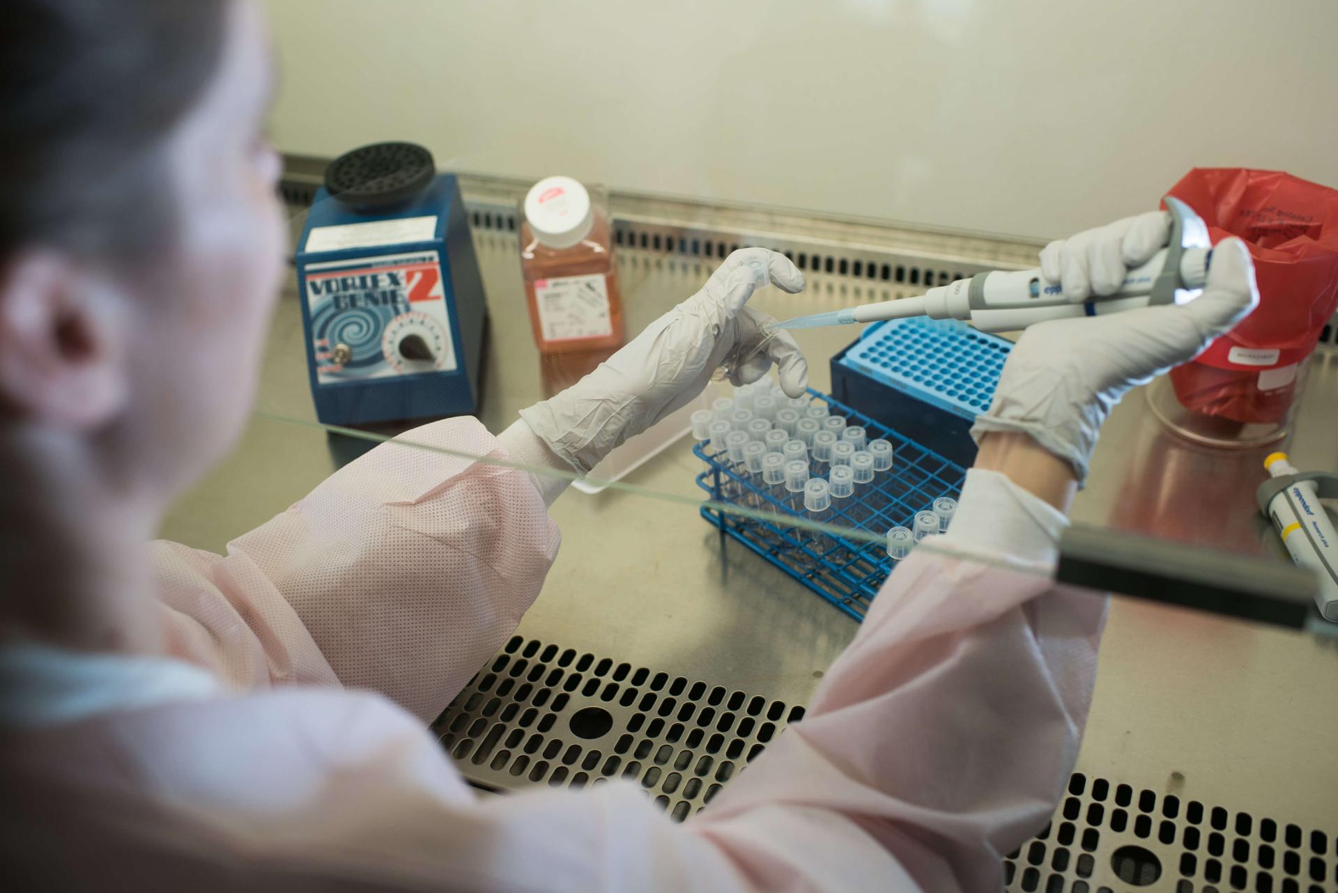 Marya Carmolli works under a fume hood in the lab