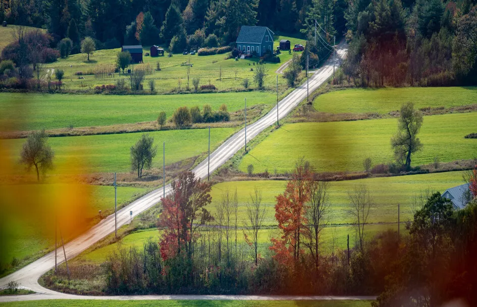 picture of rural road and grass