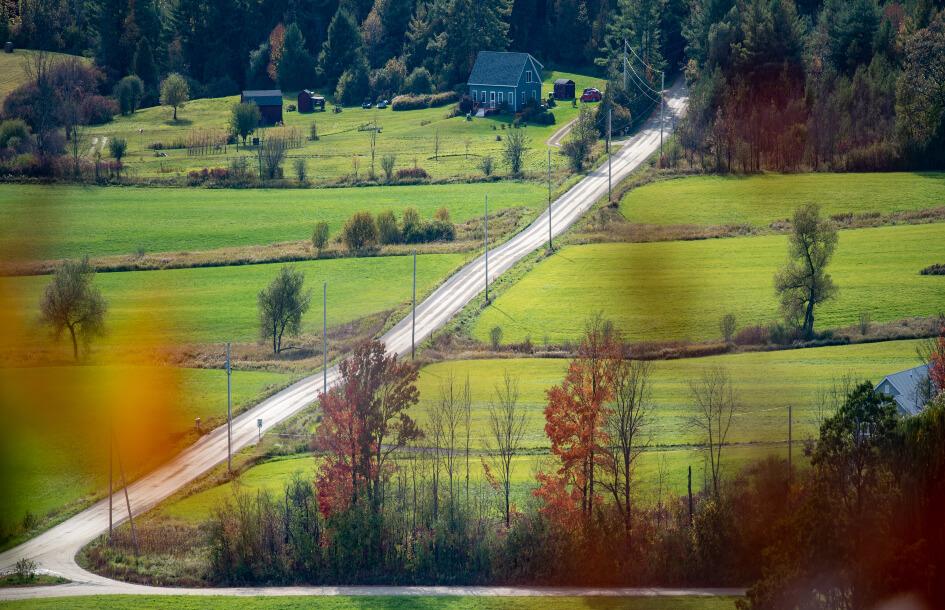 picture of rural road and grass